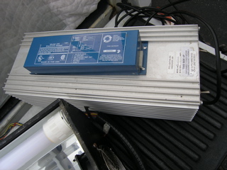 P2060005.jpg