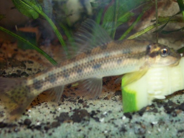 100_1051.jpg