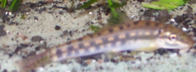 100_1008.jpg