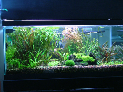 2006_08271Image0003.jpg