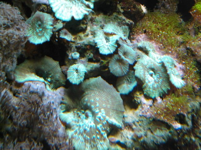 90 gal 042.jpg