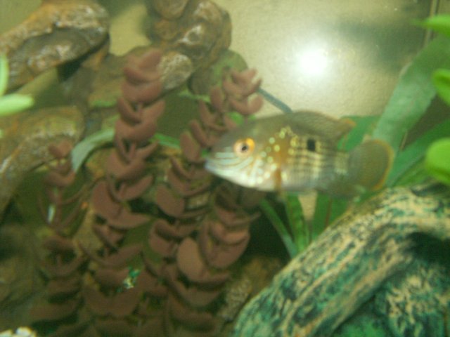 jaysons senior pictures 019.jpg