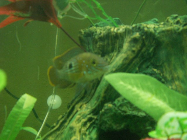 jaysons senior pictures 017.jpg