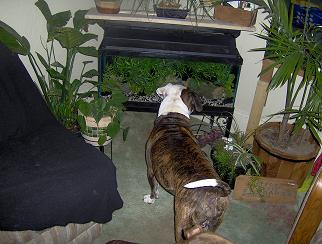 HPIM0506.JPG