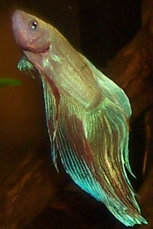 000_2592.JPG