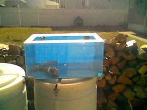 tanks smaller.jpg