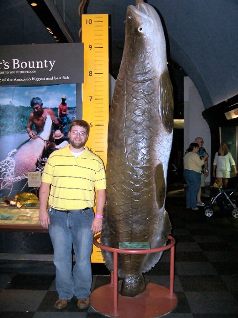 mearapaima.jpg