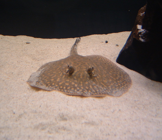 DSCF0160.JPG