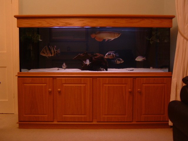 DSCF0121.JPG