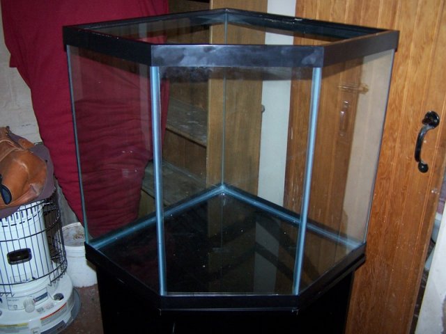 100_3678.jpg