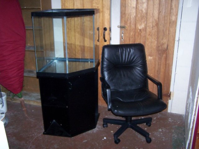 100_3681.jpg