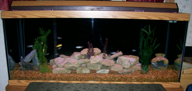 100_0608.JPG 100_0608.JPG