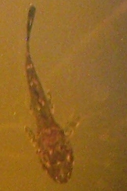 000_2529.JPG