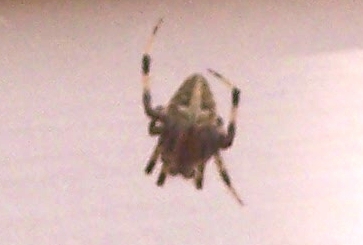 000_2726.JPG