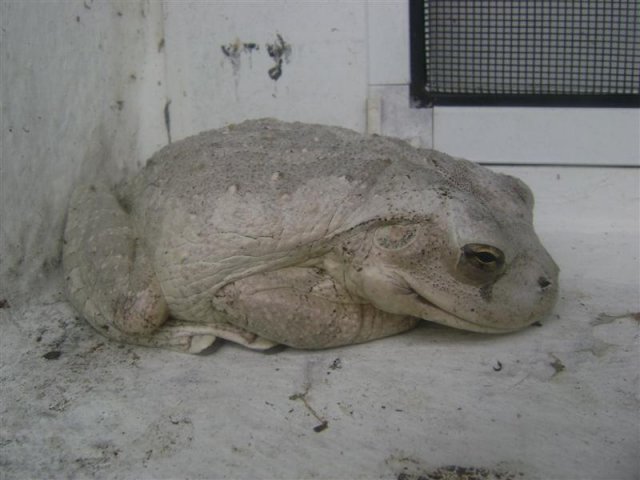 DSC06733 (Medium).JPG