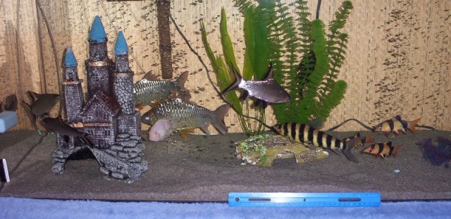 100_4095.JPG