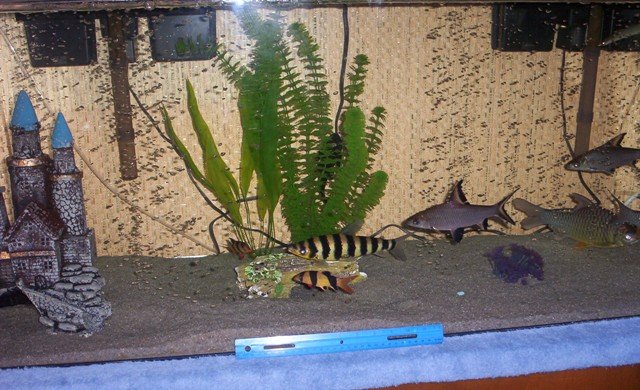 100_4094 1.JPG