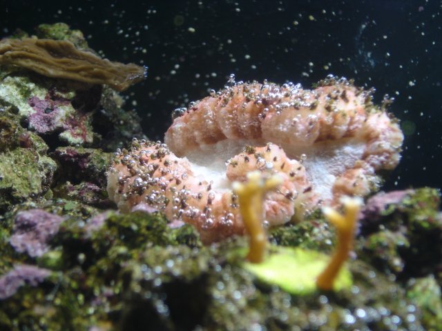 7.22.08 116.jpg
