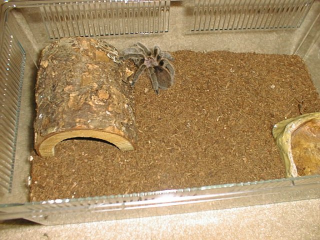 PIC00194.JPG