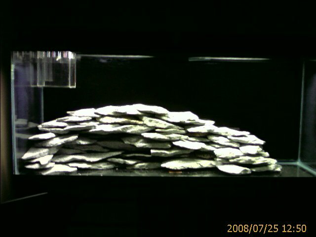 IMAGE_00003.jpg