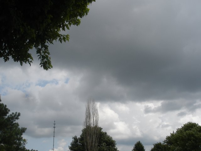 b 010.JPG