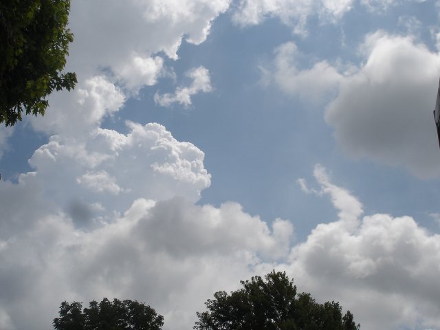 b 011.JPG