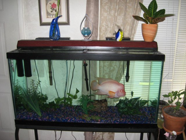 dad's pike 010.JPG
