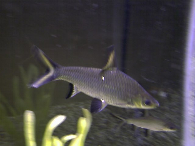 IMAGE_004.jpg