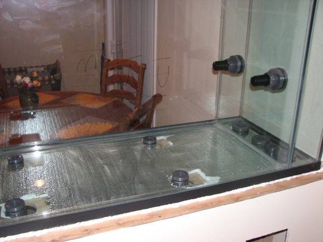 Aquaria 010.JPG