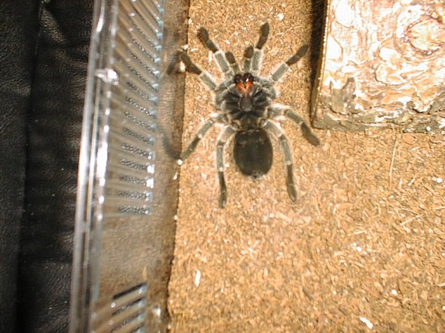 PIC00211.JPG