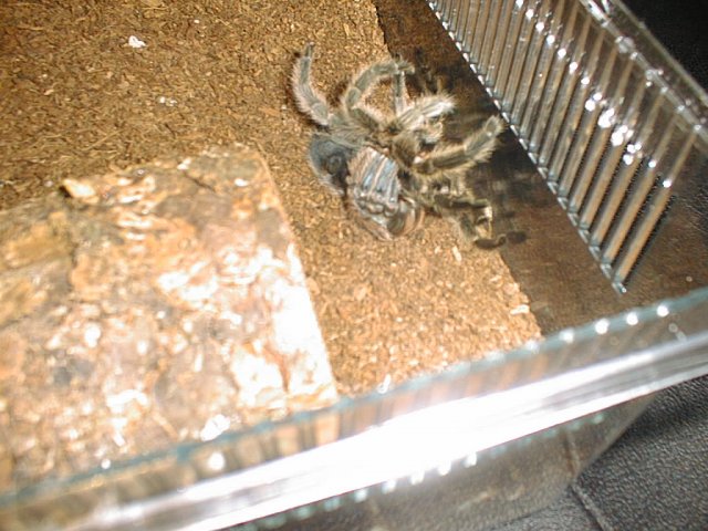 PIC00213.JPG