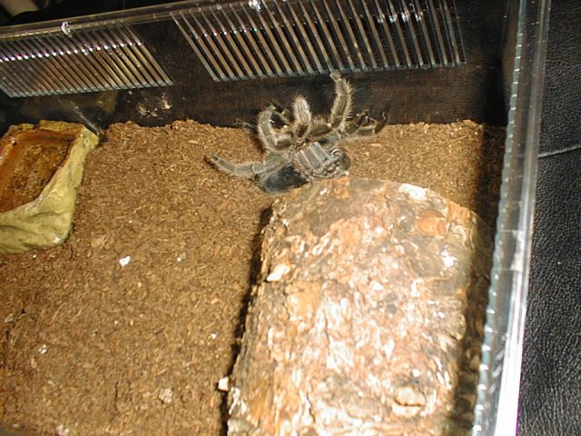 PIC00214.JPG