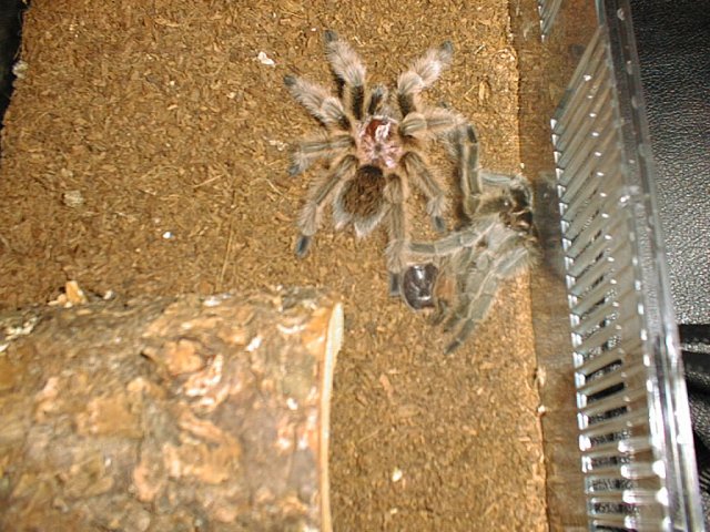 pic00215.JPG