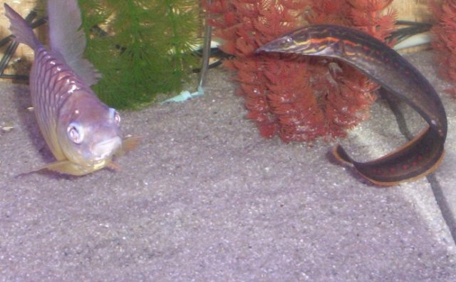 100_3898.JPG 100_3898.JPG
