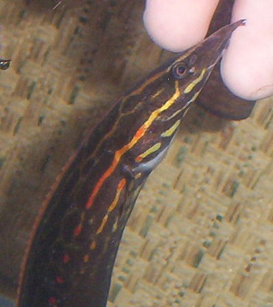 100_4035.JPG 100_4035.JPG