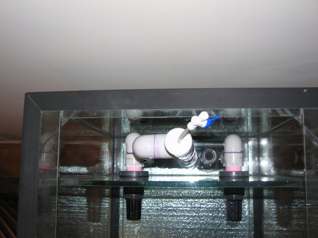 Aquaria 009 - Copy.JPG