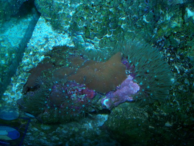 100_0231.jpg