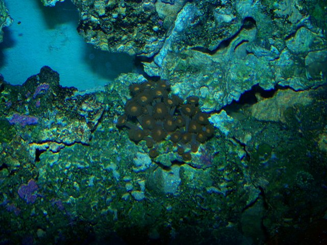 100_0233.jpg