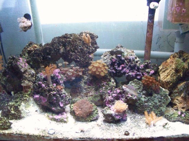 100_0273.JPG