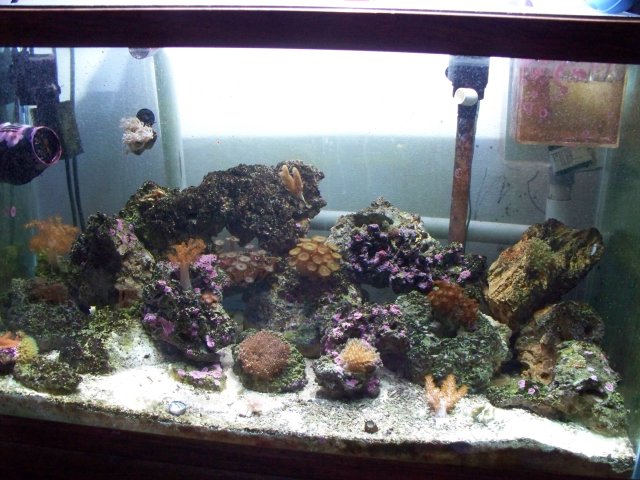 100_0274.JPG