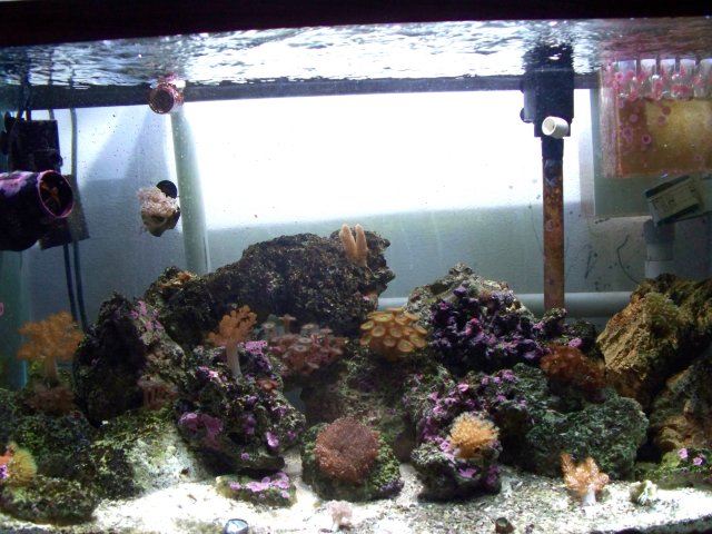 100_0282.JPG