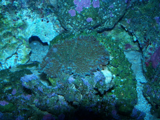 100_0226.jpg