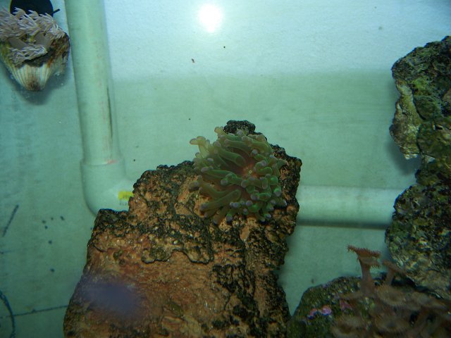 100_0222.jpg