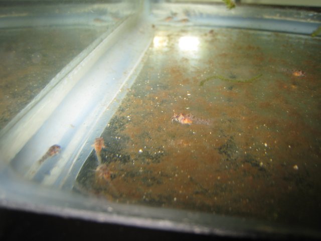 006.JPG