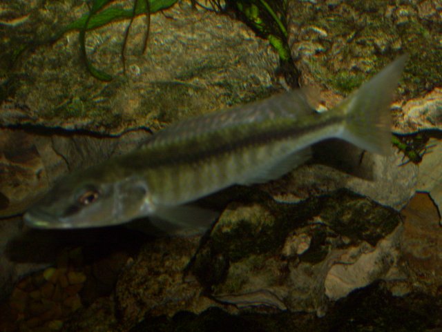 024.JPG 024.JPG