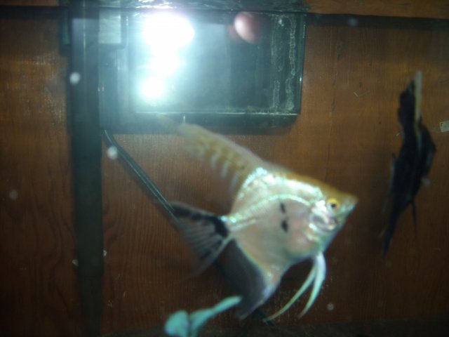 DSCN0195.JPG