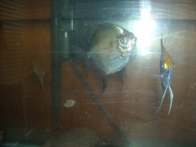 DSCN0213.JPG