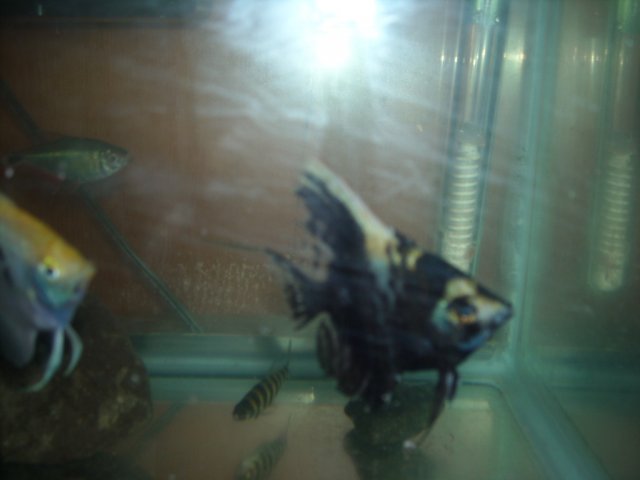 DSCN0214.JPG