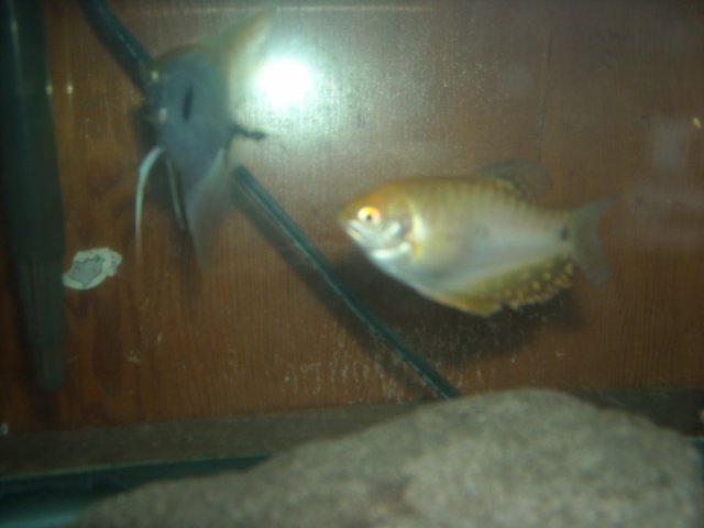 DSCN0255.JPG