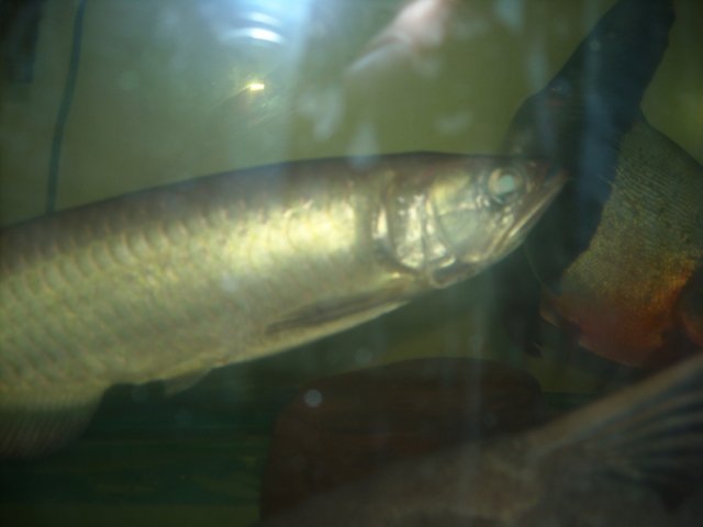DSCN0231.JPG